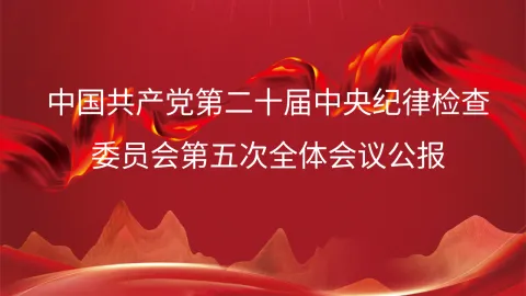 学习党的二十届中央纪律检查委员会第五次全体会议公报ppt模板