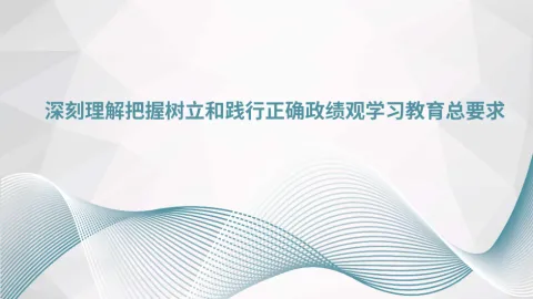 深刻理解把握树立和践行正确政绩观学习教育总要求